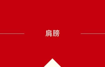 中国語や中文での肩膀の意味・使い方・発音［中国語］