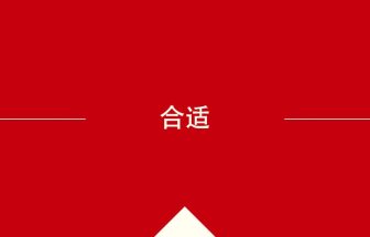 中国語や中文での合适の意味・使い方・発音［中国語］