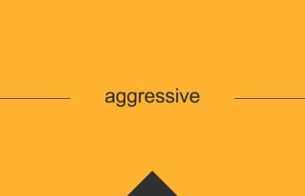 英単語 意味 aggressive