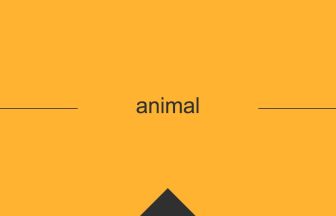 英単語 意味 animal