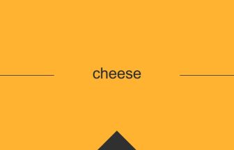英語 英単語 意味 cheese