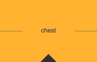 英語 英単語 意味 chest