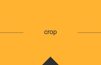 crop 英語 意味 英単語