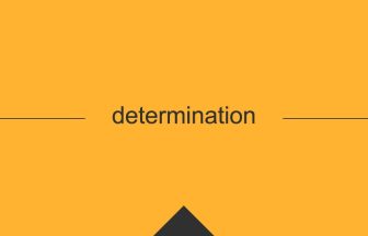 determination 英語 意味 英単語