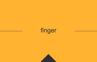 finger 英単語や英語の意味