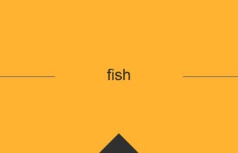 fish 英単語や英語の意味