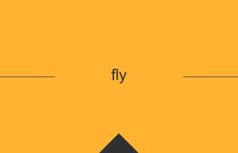 fly 英単語や英語の意味