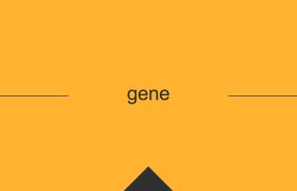 geneの英単語・英語の意味