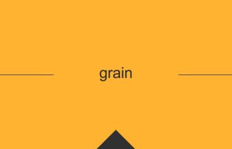 grainの英単語・英語の意味