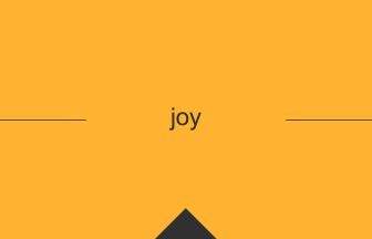 joy 意味 英単語 英語 使い方