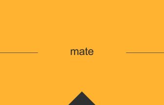 mate 意味 英単語 英語 使い方