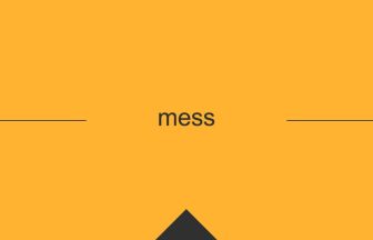 mess 意味 英単語 英語 使い方