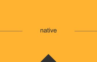 native 意味 英単語 英語 使い方