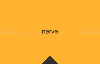 nerve 意味 英単語 英語 使い方