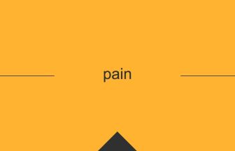 pain 意味 英単語 英語の使い方