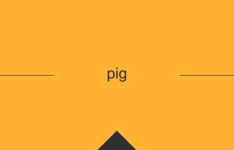 pig 意味 英単語 英語の使い方