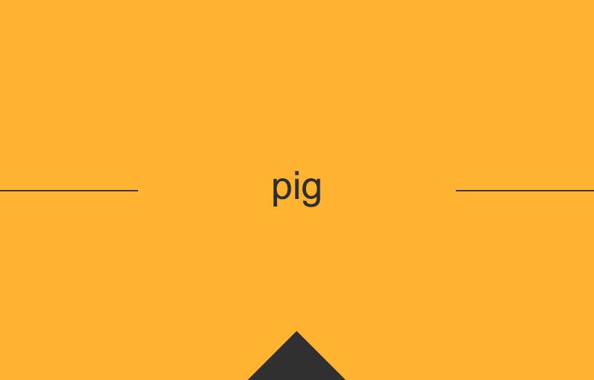 英単語 Pig の意味 使い方 発音 英語 英会話の効果的な学習法 Pm English 全無料