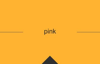 pink 意味 英単語 英語の使い方