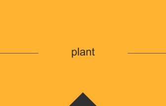 plant 意味 英単語 英語の使い方
