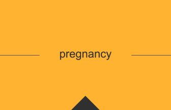 pregnancy 意味 英単語 英語
