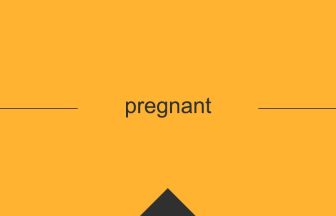 pregnant 意味 英単語 英語
