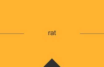 rat 英語 意味 英単語