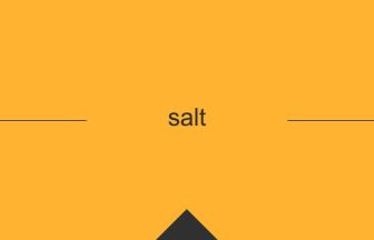 salt 英語 意味 英単語