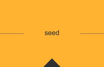 seed 英語 意味 英単語