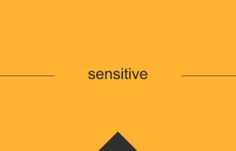 sensitive 英語 意味 英単語