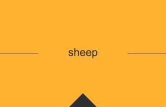 sheep 英語 意味 英単語