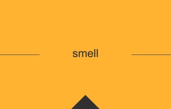 smell 英語 意味 英単語
