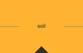 soil 英語 意味 英単語