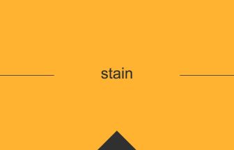 stain 英語 意味 英単語