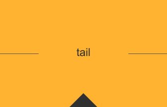 tail 英語 意味 英単語