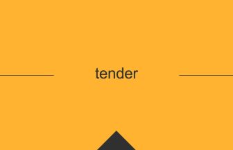 tender 英語 意味 英単語