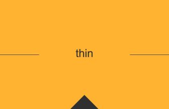 thin 英語 意味 英単語