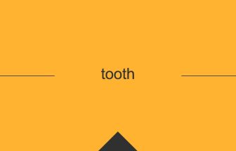 tooth 英語 意味 英単語