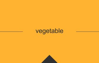 vegetable 英語 意味 英単語