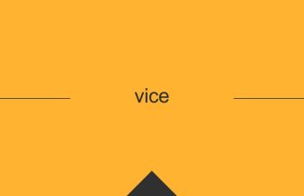 vice 英語 意味 英単語