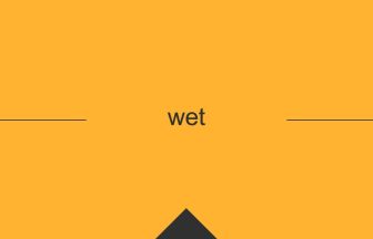 wet 英語 意味 英単語