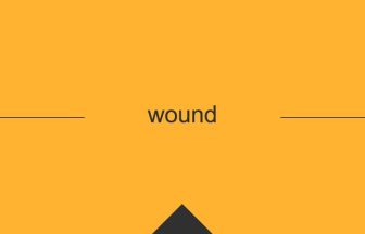 wound 英語 意味 英単語