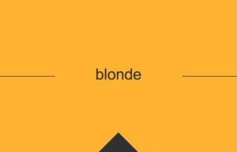 ［英単語］blonde の意味・使い方・発音