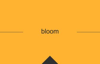 ［英単語］bloom の意味・使い方・発音