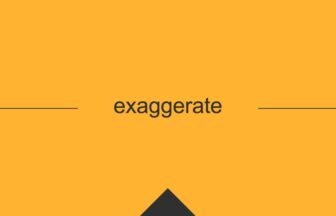 ［英単語］exaggerate の意味・使い方・発音