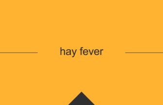 ［英単語］hay fever の意味・使い方・発音