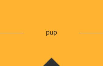 ［英単語］pup の意味・使い方・発音