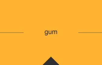 ［英単語］gum の意味・使い方・発音