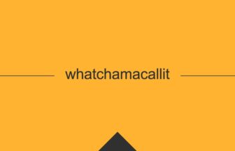［英単語］whatchamacallit の意味・使い方・発音