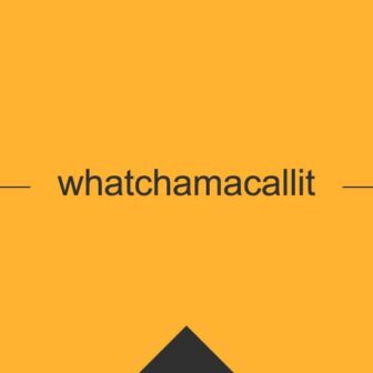 ［英単語］whatchamacallit の意味・使い方・発音