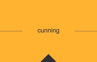 ［英単語］cunning の意味・使い方・発音